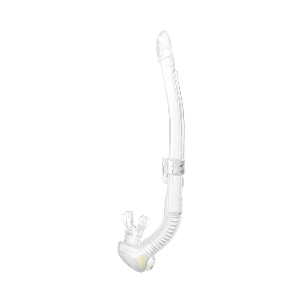 Leila Stable Clear Silicone