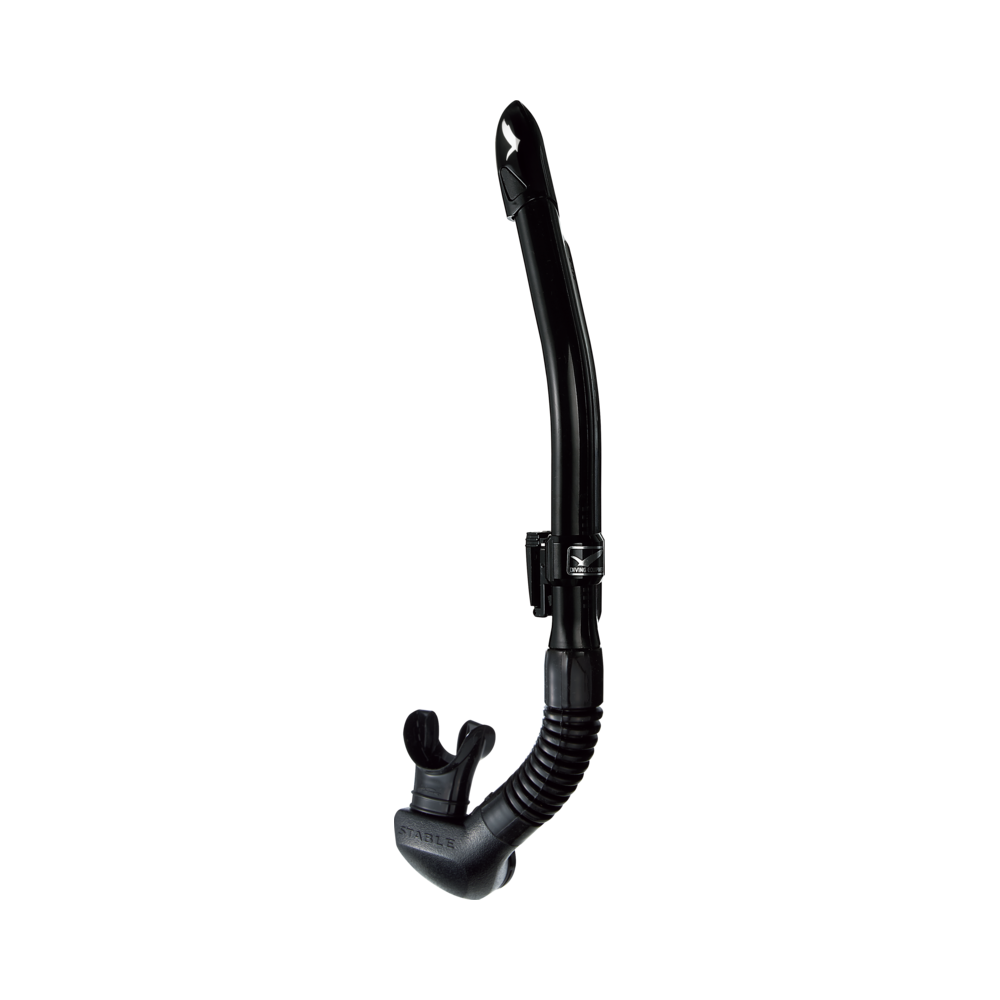 Leila Stable Black Silicone
